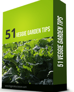 51 Veggie Backyard Pointers